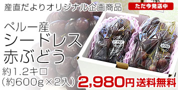 �����ɥ쥹�֤ɤ���