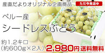 �ڥ롼�������ɥ쥹�֤ɤ���