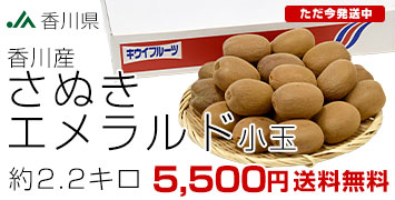 ���̤�������ɡ���2.2����