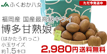 ��¿�Ž�̼ ����1.5kg