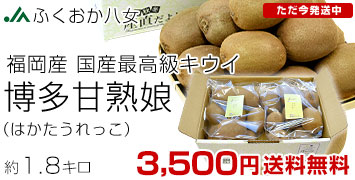 ��¿�Ž�̼1.8kg