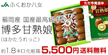 �Ž�̼ 1.8��������Ȣ