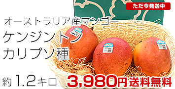 ����ץ���1.2