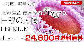 �ץ�ߥ���3L