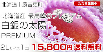 �������ۥץ�ߥ���2L