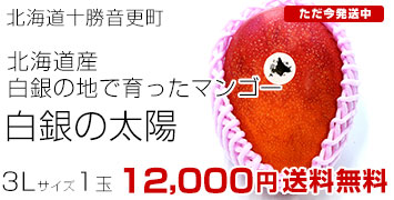 ��������3L