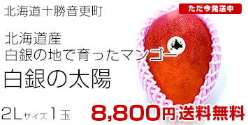 ��������2L