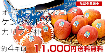 ����ץ���4kg