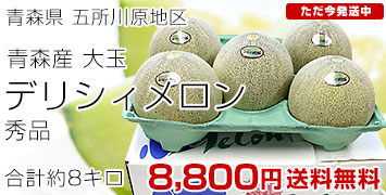 ǥꥷȢ8kg