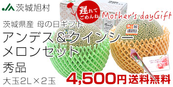 母の日アンデス・クインシー