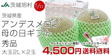 母の日アンデス