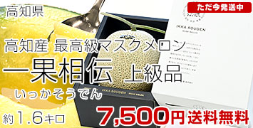 1.6kg
