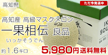 1.6kg