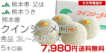 ���ܥ����󥷡������