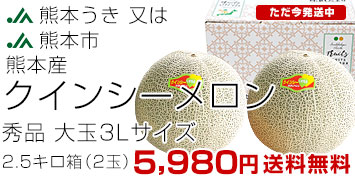 ܥ󥷡22.5kg