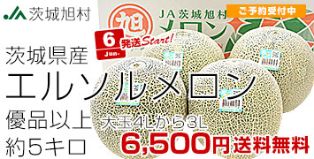 륽ͥ5kg
