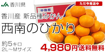 ����ΤҤ���