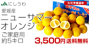 ニューサマーオレンジご家庭用5kg