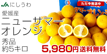 ˥塼ޡ󥸽5kg