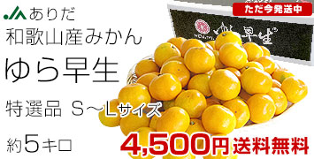 SL5kg