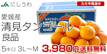 清見オレンジ良品5kg