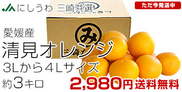 清見オレンジ 約3キロ