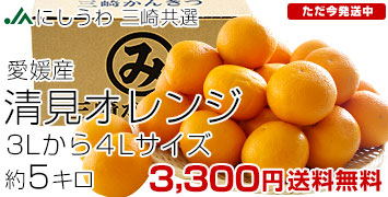 清見オレンジ 約5キロ