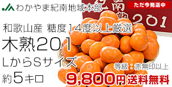 �ڽ�201��5����