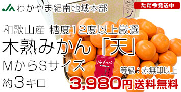 �����ڽϤߤ���ŷ3����