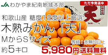 �ڽϤߤ���ŷ5����