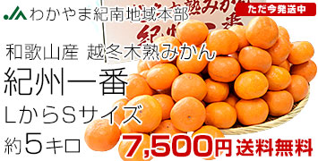 ��������5����