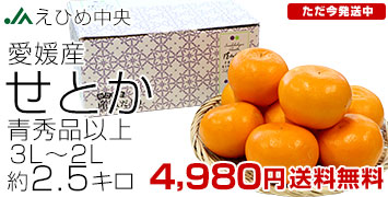 ҤȤ2.5kg