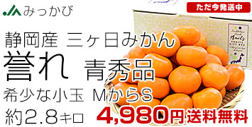 ߤ2.8kg