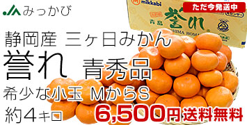 4kg