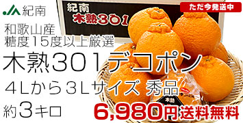 ڽϥǥݥ3kg