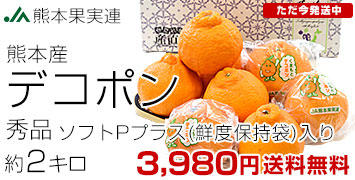 ¢ǥݥ2kg