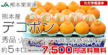 ¢ǥݥ5kg