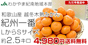 �����ڽϤߤ��󵪽�����2.5����