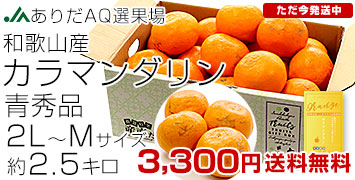 ͭĥޥĽ2.5kg