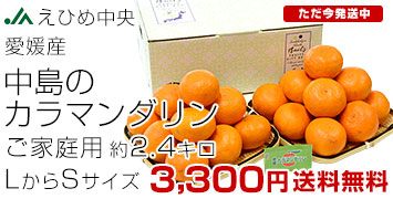 祫ޥ󤴲2.4kg