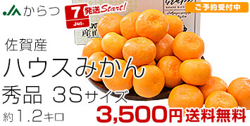  ϥߤ1.2kg