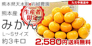 ���ܴ������ߤ���1Ȣ