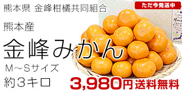 �����ߤ���3����