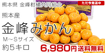 �����ߤ���5����