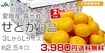 �ˤ����碌�Ȥ� Ϫ������2.5����