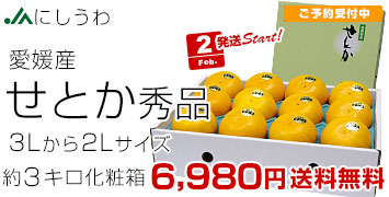 �ˤ����碌�Ȥ�Ϫ�Ͻ���3����