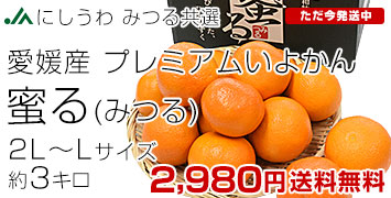 ���褫�� ̪��