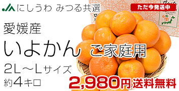 ���褫�� ��������