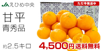 ��ʿ��2.5����