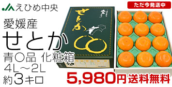 ���Ҥ���� ���Ȥ� �ġ���